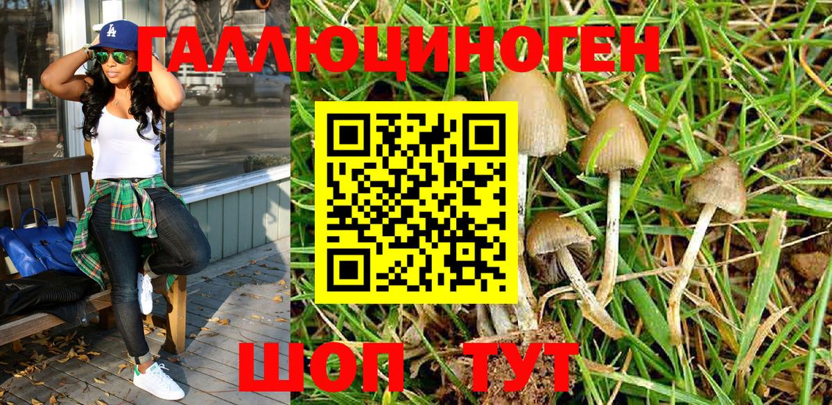 Псилоцибиновые грибы Magic Shrooms Рубцовск