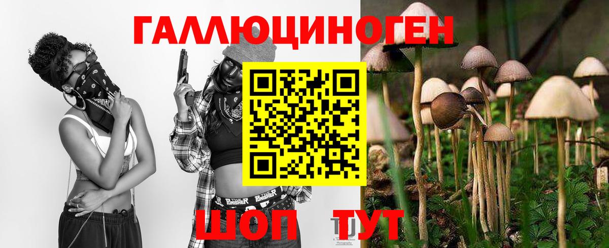 Галлюциногенные грибы GOLDEN TEACHER  Вход с VPN  Рубцовск 