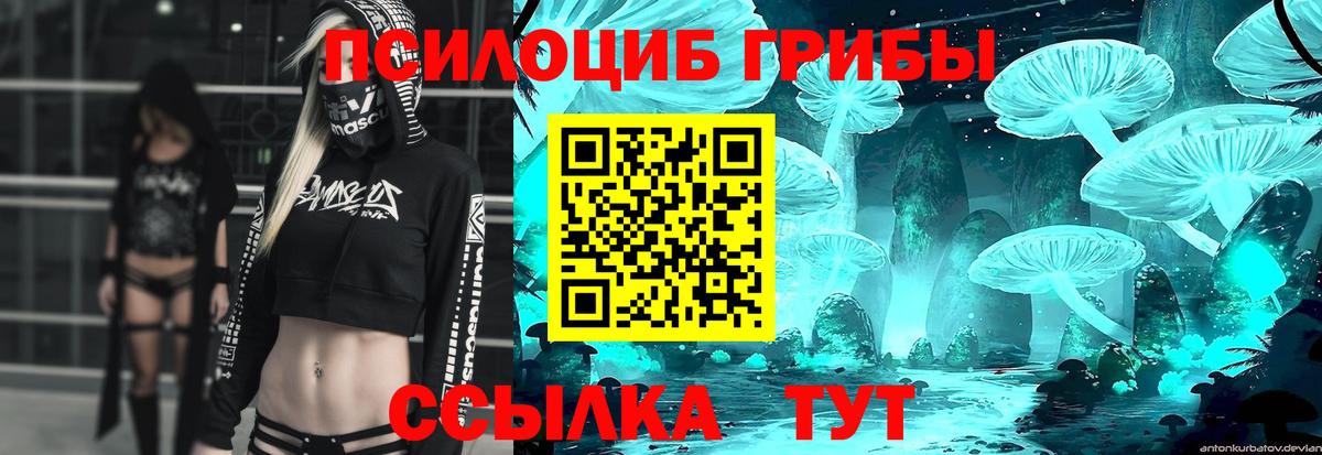 Псилоцибиновые грибы GOLDEN TEACHER  Рубцовск 