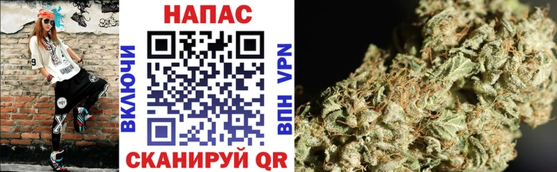 купить Рубцовск Канабис Bruce Banner